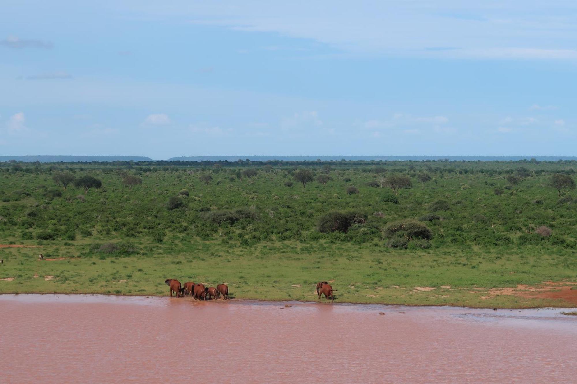 Tausa Tsavo Eco Lodge Voi Exterior photo