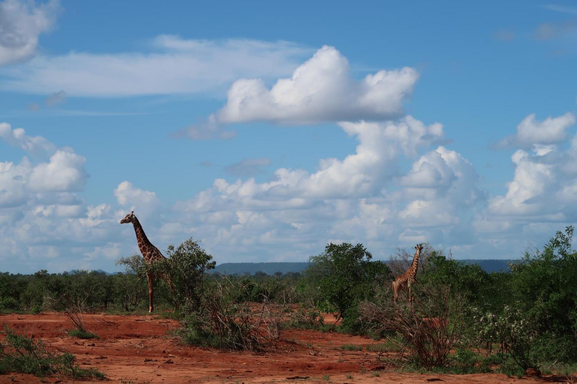 Tausa Tsavo Eco Lodge Voi Exterior photo